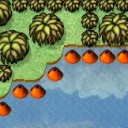 [ River Rafting ]